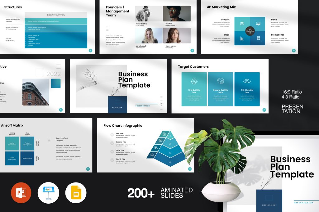 Effective Plan Presentation Template for Business Success