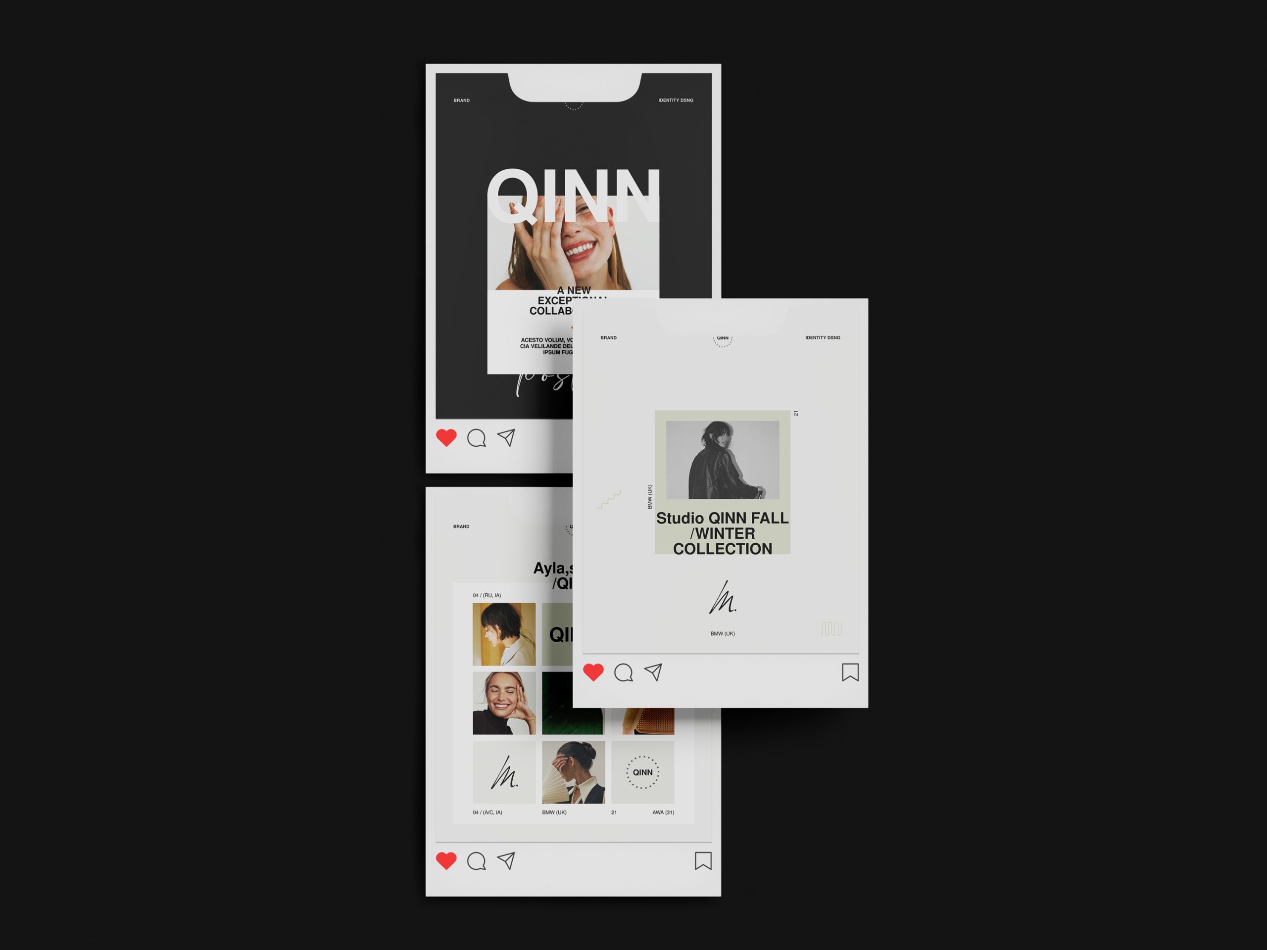 QINN / Social Media Kit image 6