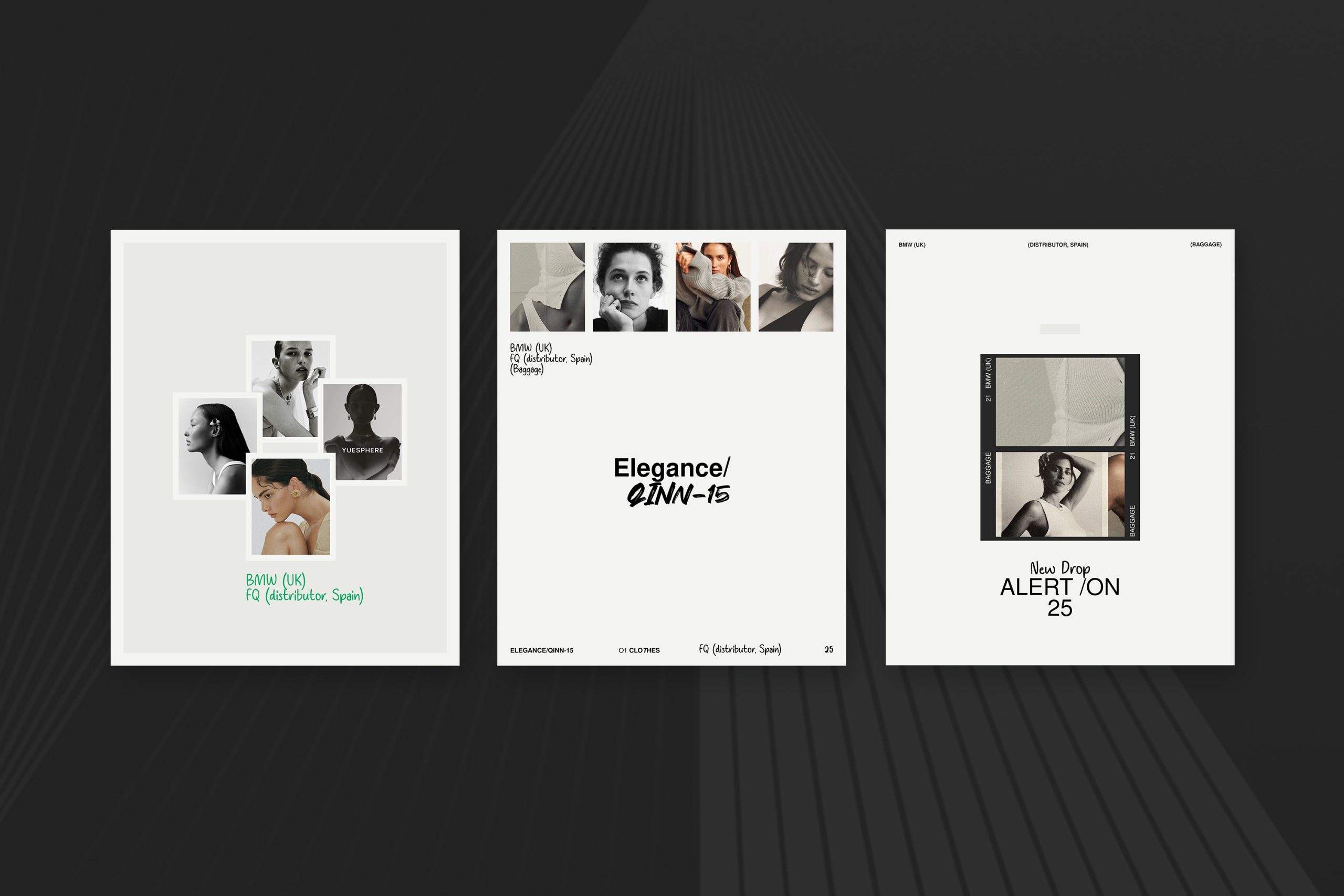 ANNA / Social Media Kit image 6