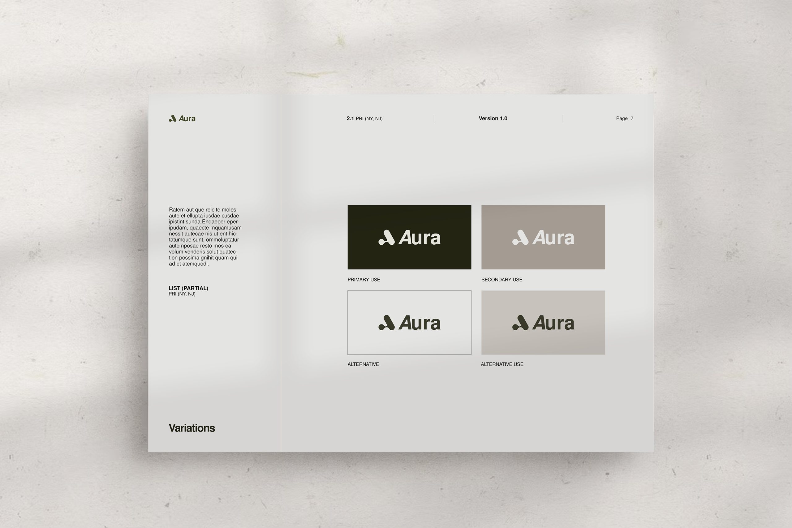 Aura / Brand Guidelines image 8