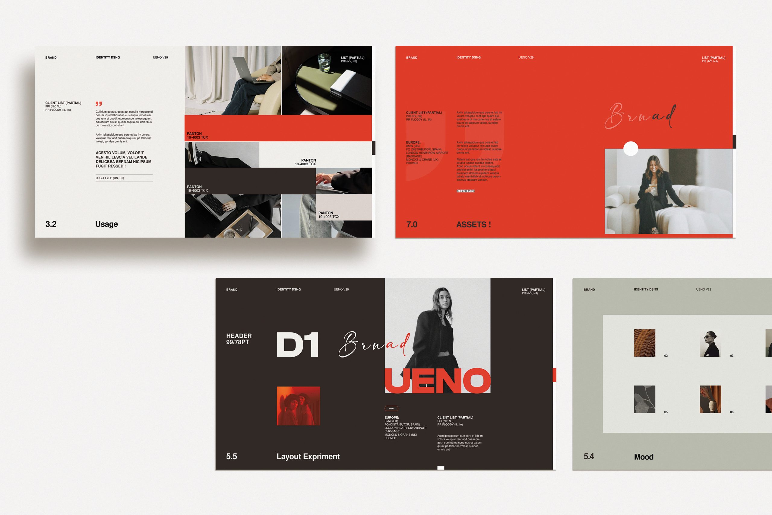 UENO / Brand Guidelines image 1