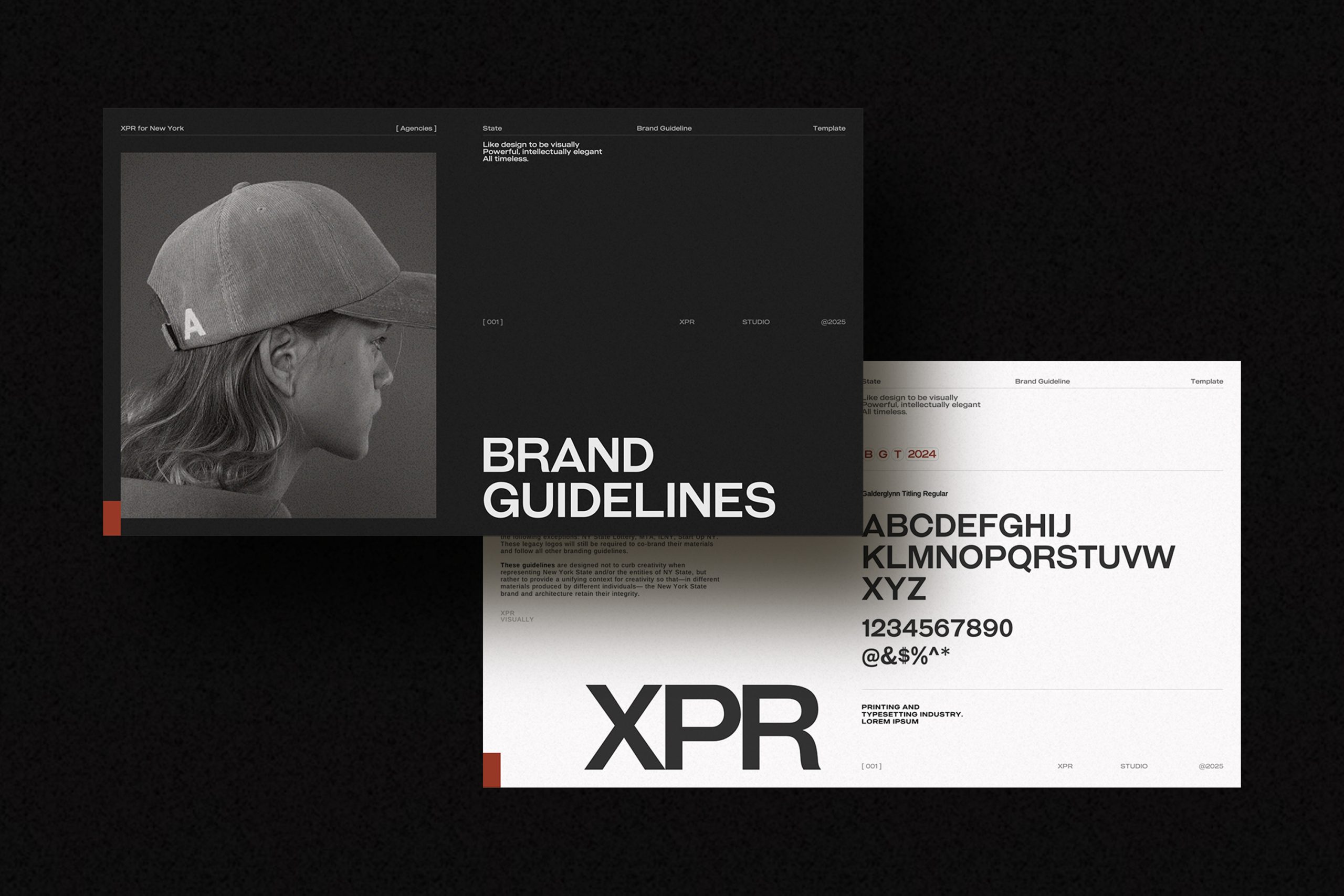Brand Guideline Template image 3