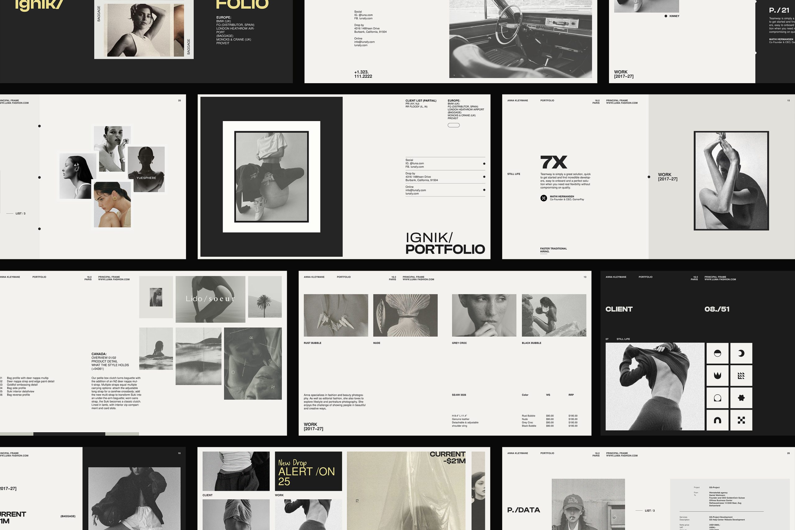 Igenik Brand Portfolio Template image 6