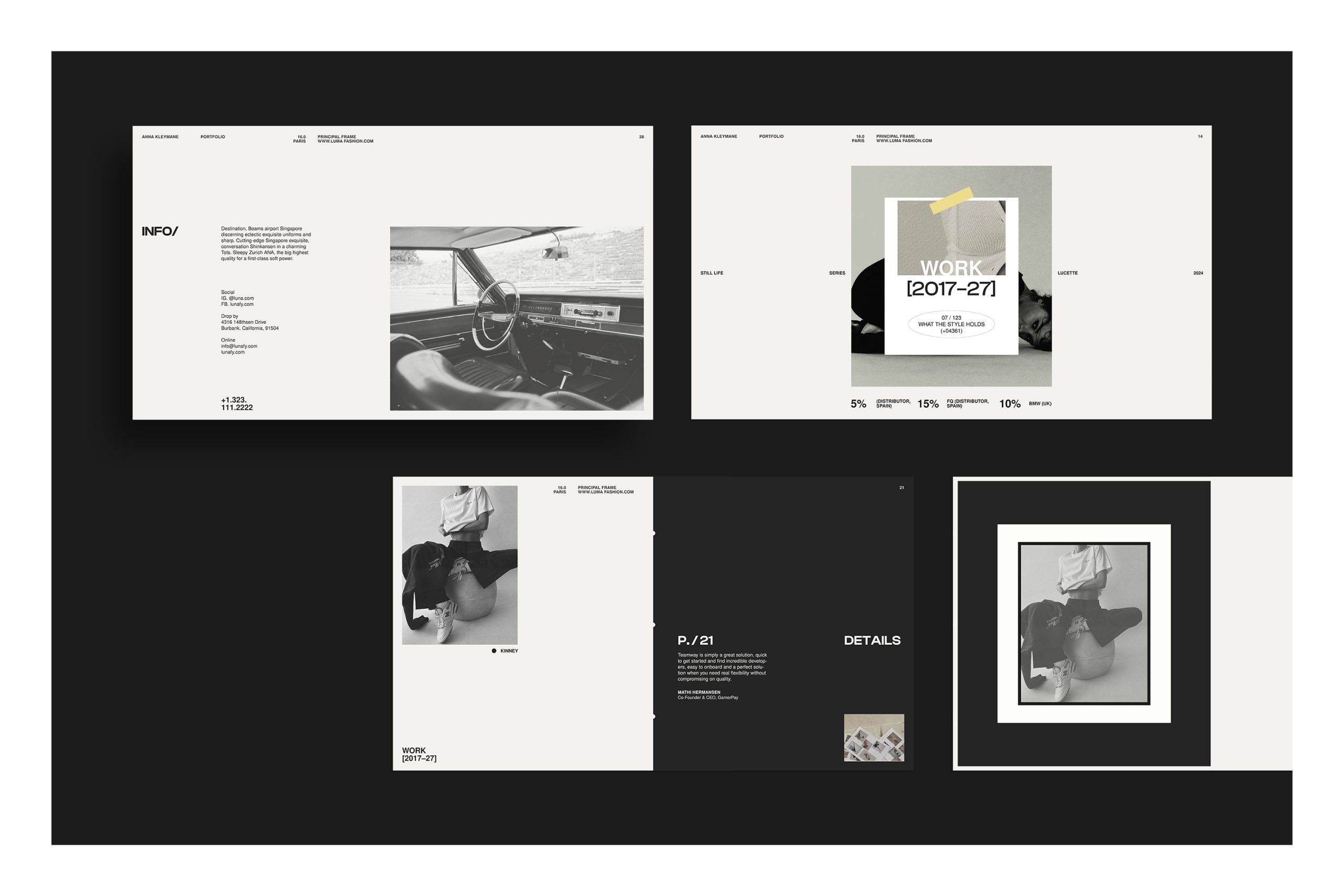 Igenik Brand Portfolio Template image 2