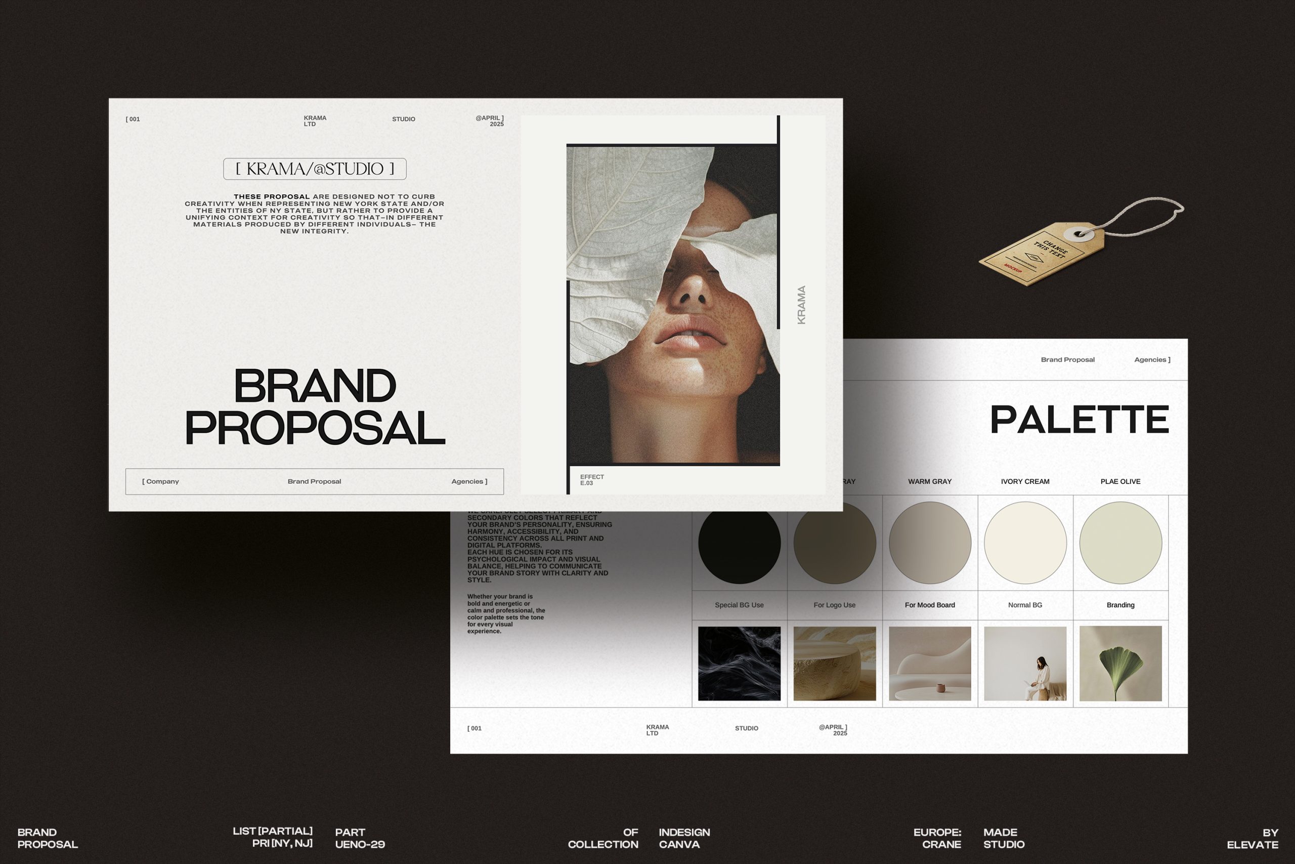 Brand Proposal PowerPoint Presentation cover image