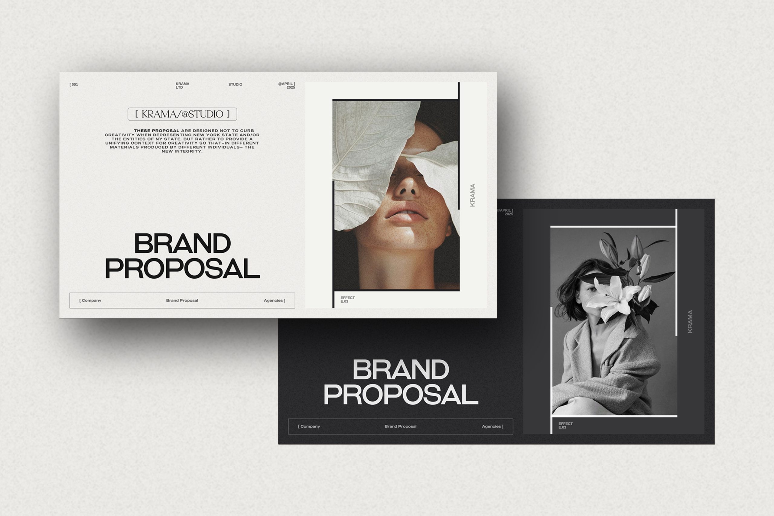 Brand Proposal PowerPoint Presentation image 11