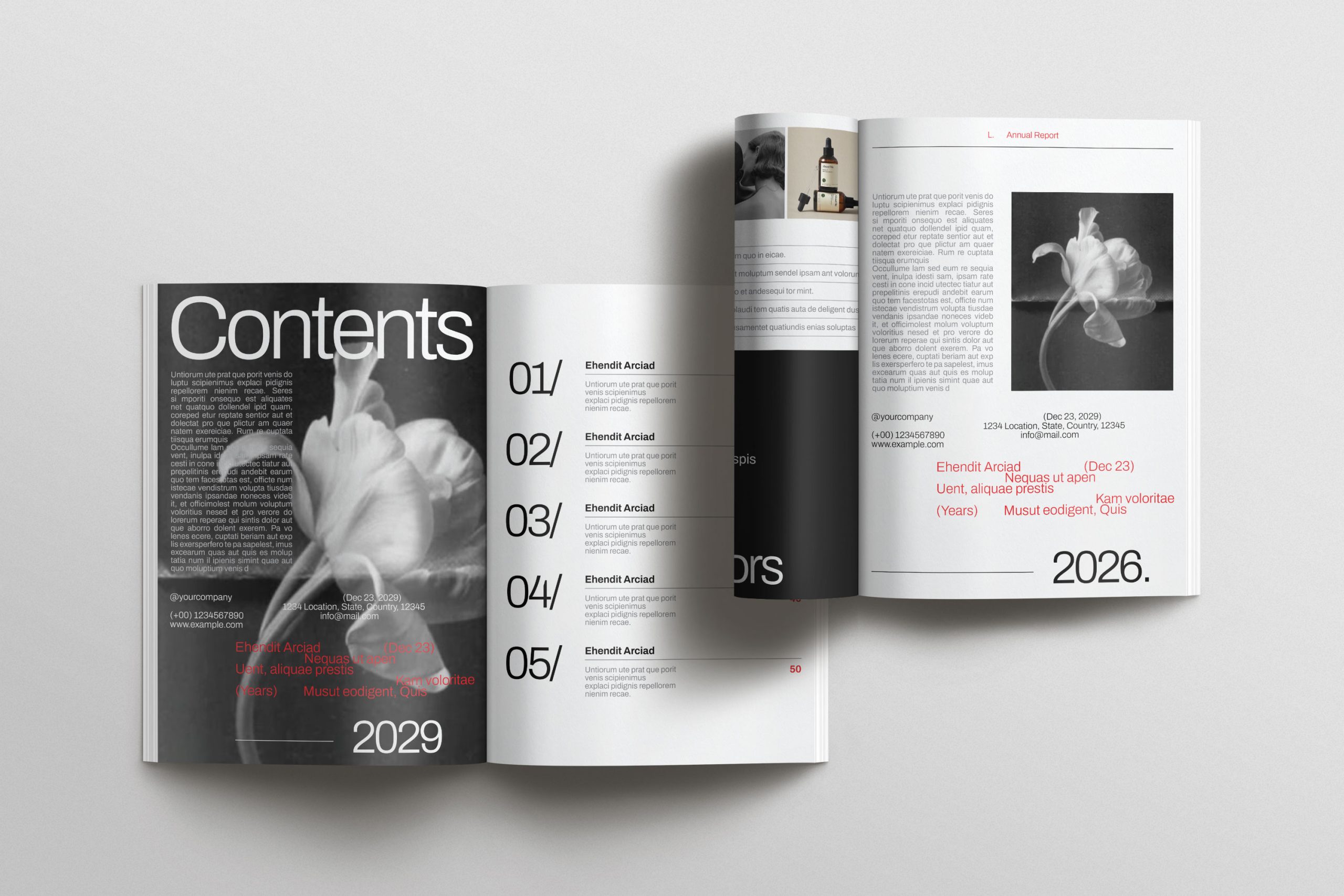 Annual Report Template image 3