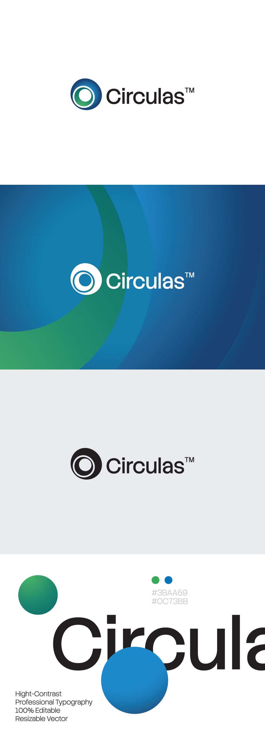 Circulas Abstract Logo Template image 1