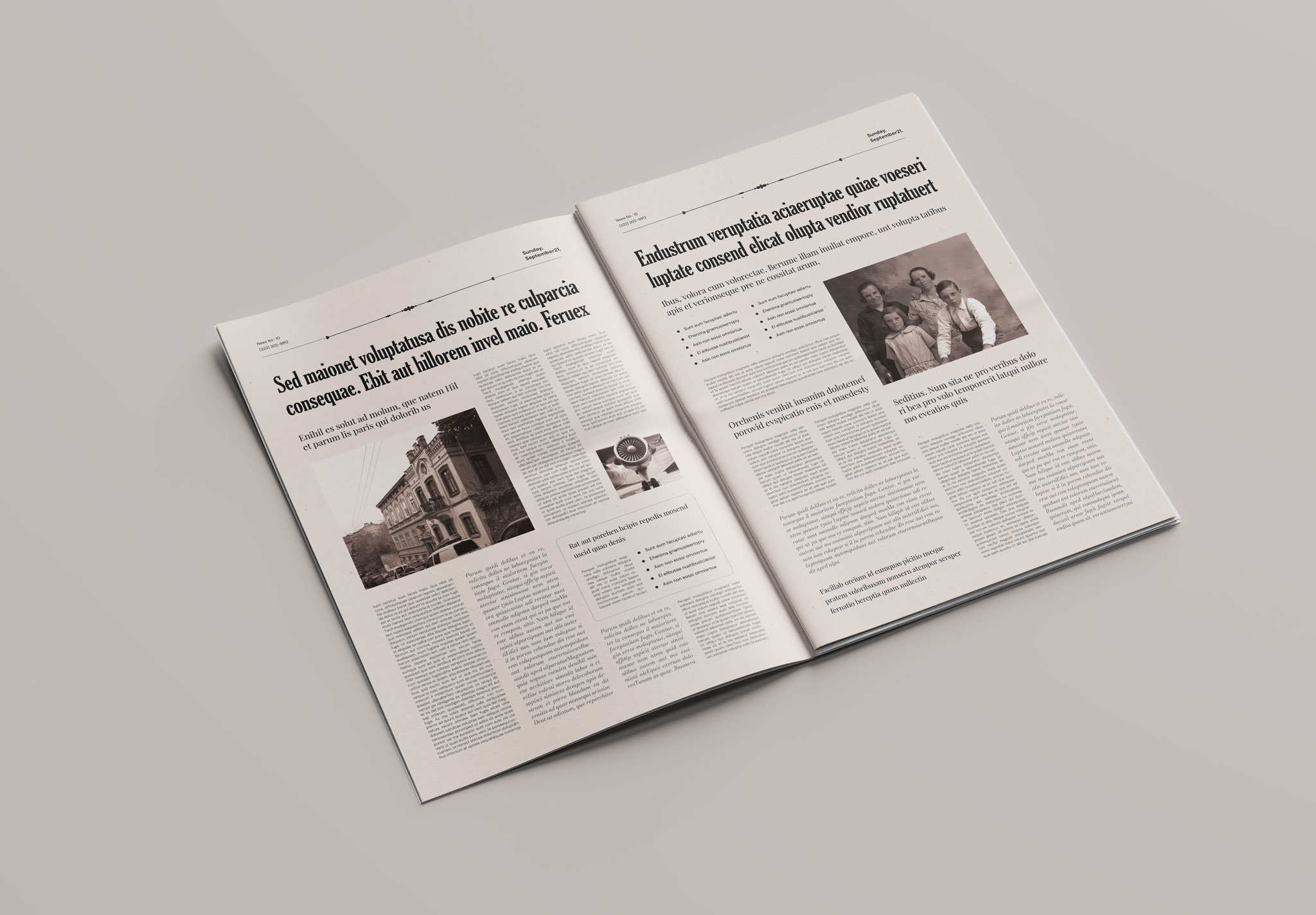 Historical Newspaper Template image 3
