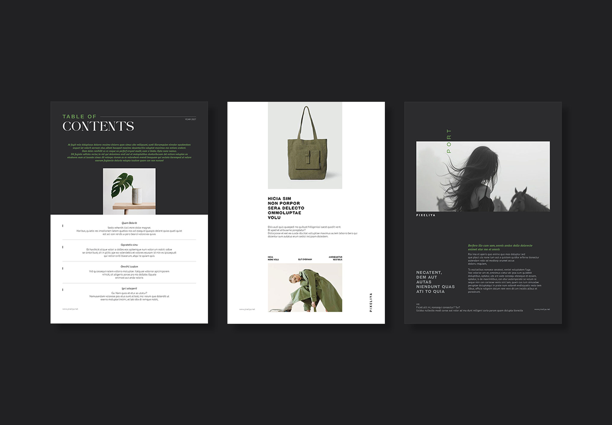 Magazine Template Layout image 2