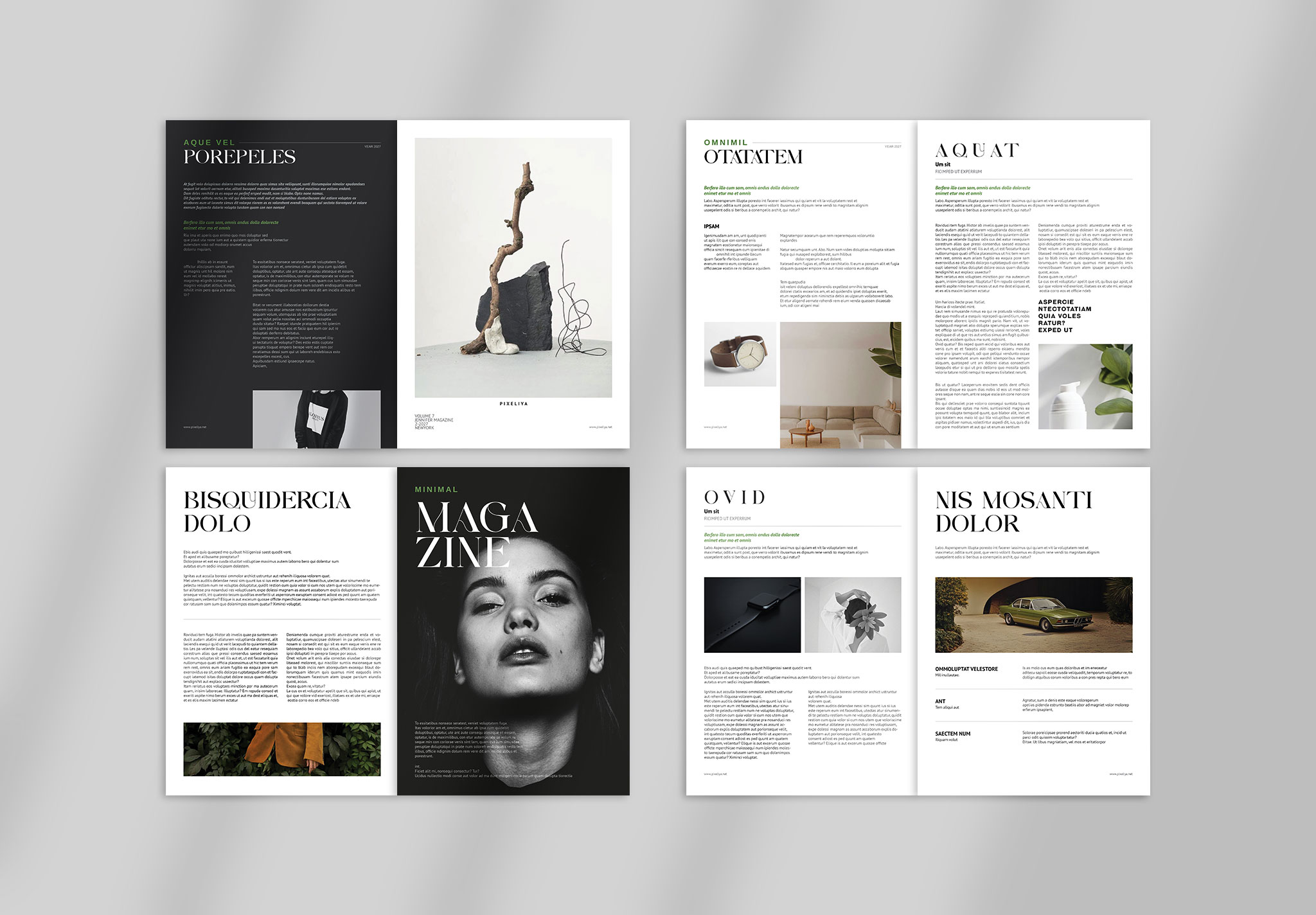 Magazine Template Layout image 4
