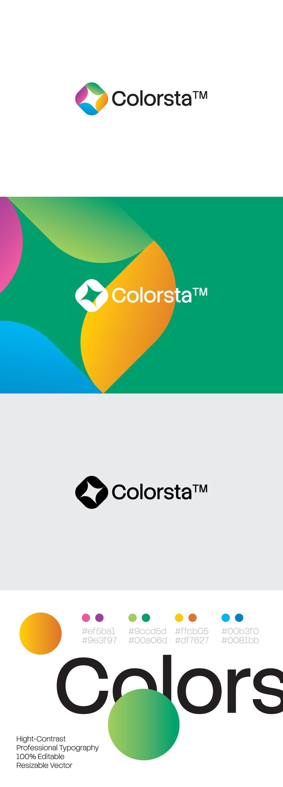 Colorsta Logo Template | Modern Premium Vector Brand Identity image 1