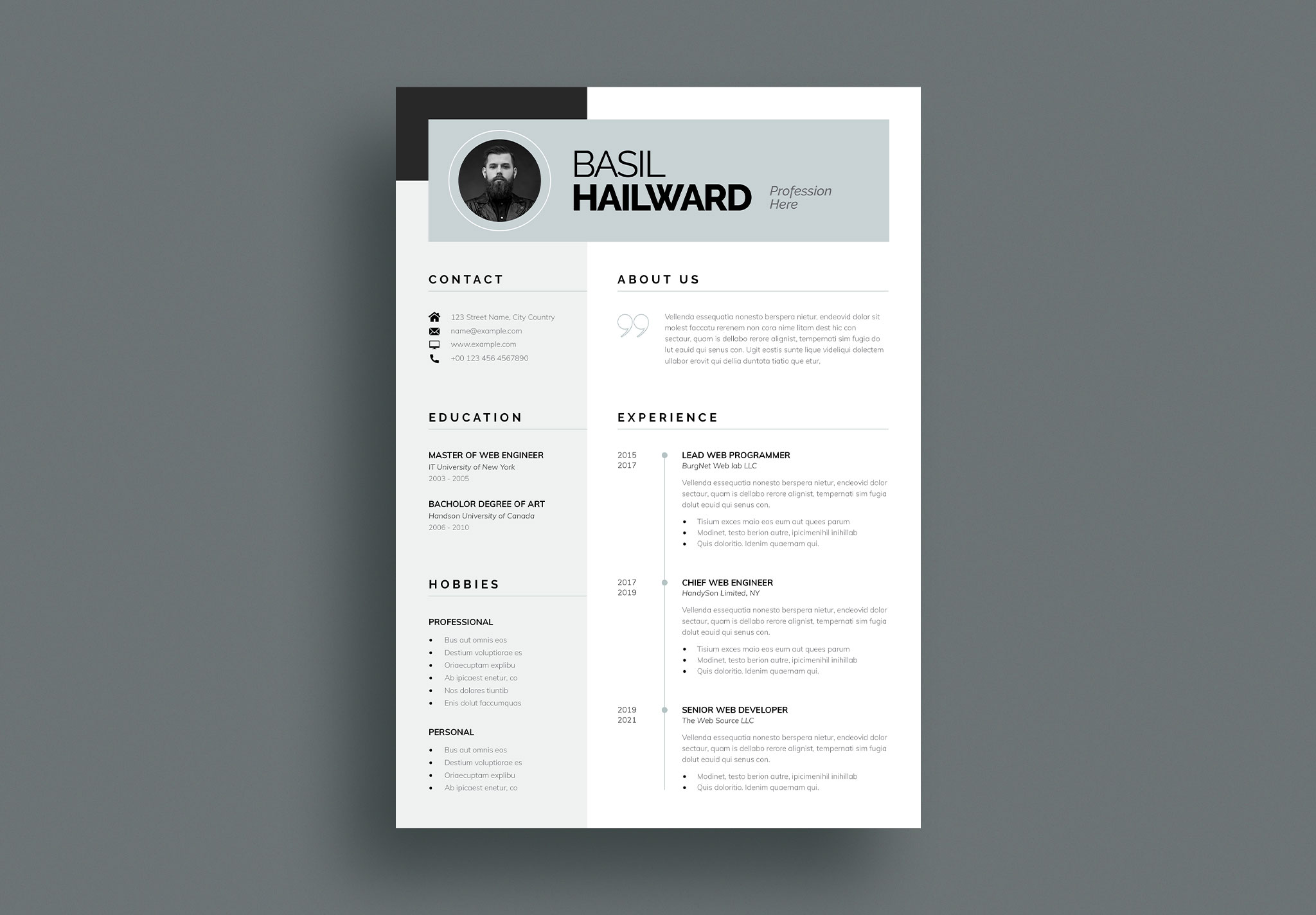 Modern Resume/CV Template image 4
